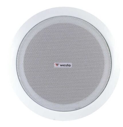 Westa WS-2035T - 8'' 30W Trafolu Alçıpan Hoparlör